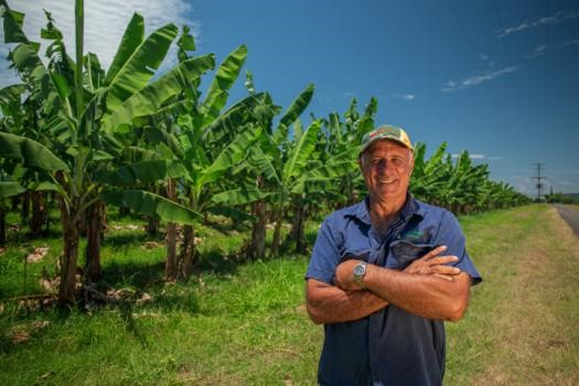 Far North Queensland banana grower Sebastian Di Salvo