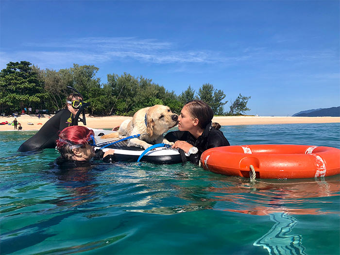 Kids swimming with support dog on paddle board