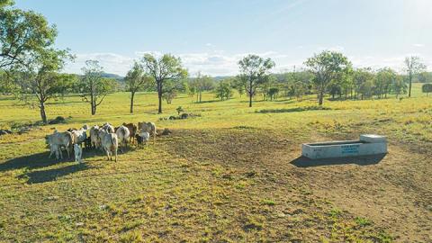 A Sustainability Loan helped the Lisles install over 30 troughs on Moonkan Park.