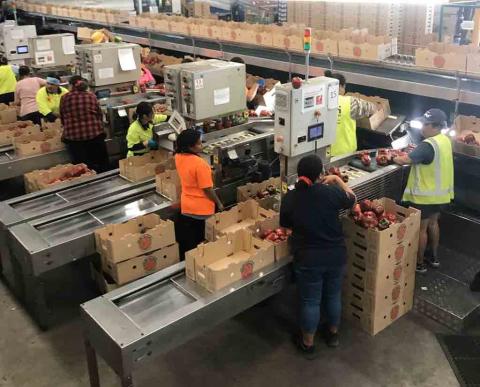 North Queensland Fresh 